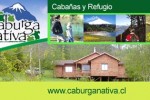 www.caburganativa.cl
